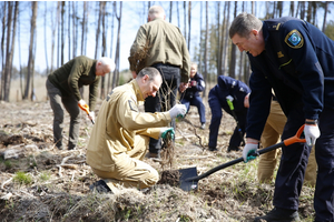 Sadzenie lasów z Nadleśnictwem Wejherowo