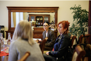 Spotkanie z dyrektorami