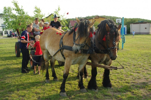 Sobotki na wejherowskich osiedlach - 23.06.2012