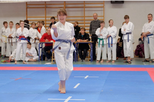 Pomorski Turniej Karate Tradycyjnego w Wejherowie - 10.03.2013