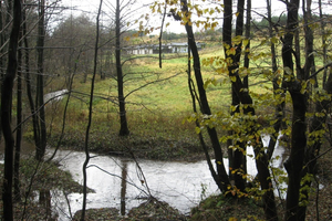 Lesoki - wycieczka - 9.11.2012