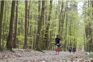 XV Mistrzostwa Polski Nordic Walking