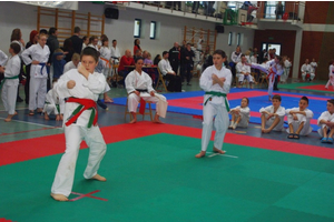 Pomorski Turniej Karate Tradycyjnego w Wejherowie - 10.03.2013