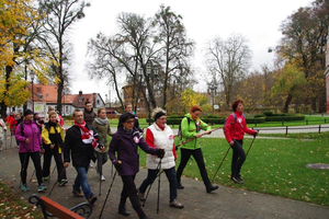 II Niepodległościowy Marsz Nordic Walking - 11.11.2015