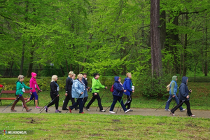 Rajd Nordic Walking w parku - 10.05.2014