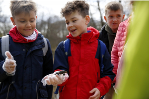 Akcja Ratujmy Żaby SP 5