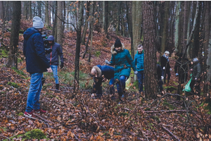 Miasto włączyło się do akcji Forest Challenge