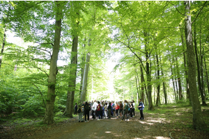 Jakubowy Marsz Nordic Walking