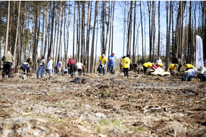 Sadzenie lasów z Nadleśnictwem Wejherowo