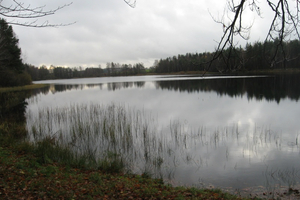 Lesoki - wycieczka - 9.11.2012