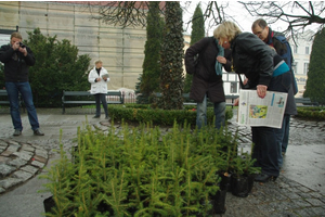 Udana akcja dziennikarzy, leśników i urzędników - 21.04.2012