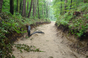 Budowa Turystycznego Szlaku Północnych Kaszub w Wejherowie - 06.07.2012