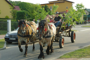 Sobotki na wejherowskich osiedlach - 23.06.2012