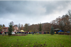 Biało-czerwona parada niepodległościowa  - 11.11.2015