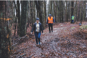 Miasto włączyło się do akcji Forest Challenge