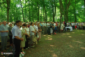 Odpust Uzdrowienia Chorych w Wejherowie - 06.07.2014