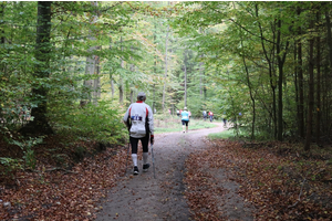 Wejherowo stolicą europejskiego nordic walkingu