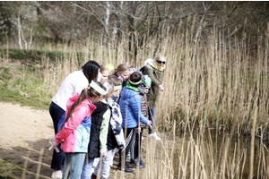 Akcja Ratujmy Żaby SP 5