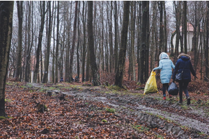 Miasto włączyło się do akcji Forest Challenge