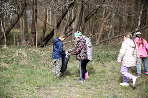 Akcja Ratujmy Żaby SP 5