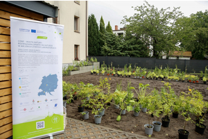 Realizacja pilotażu w ramach Projektu CONE