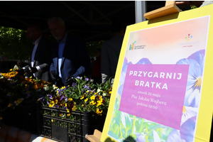 Przygarnij bratka