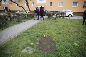 Mieszkańcy chętnie włączają się do akcji „KLIMATycznie w Wejherowie”