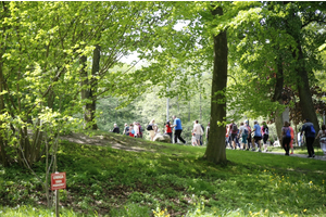 Jakubowy Marsz Nordic Walking