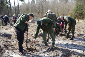 Sadzenie lasów z Nadleśnictwem Wejherowo