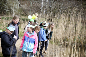 Akcja Ratujmy Żaby SP 5
