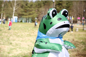 Akcja Ratujmy Żaby SP 5