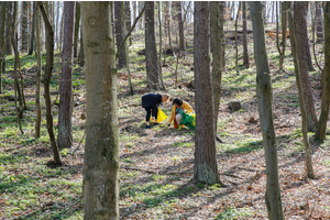 Urzędnicy oraz radni sprzątali okoliczne lasy