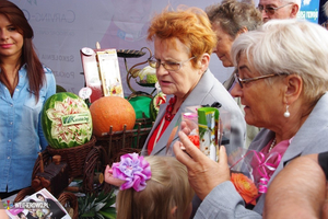 Piknik Historyczny w Parku Miejskim - 17.08.2014