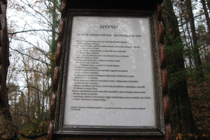 Lesoki - wycieczka - 9.11.2012