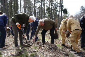 Sadzenie lasów z Nadleśnictwem Wejherowo
