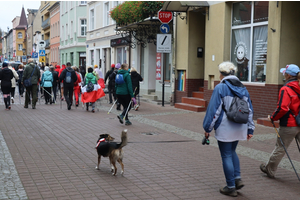 Obchody Święta Niepodległości