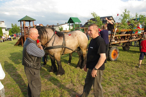 Sobotki na wejherowskich osiedlach - 23.06.2012