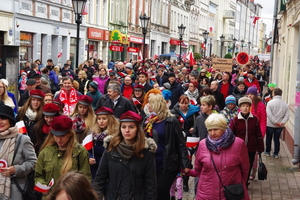 Biało-czerwona parada niepodległościowa  - 11.11.2015