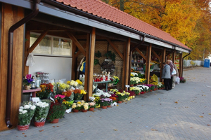 Nowy parking przy cmentarzu na ul. Roszczynialskiego - 26.10.2015