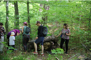 Jakubowy Marsz Nordic Walking