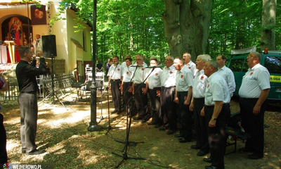 Odpust Uzdrowienia Chorych w Wejherowie - 06.07.2014