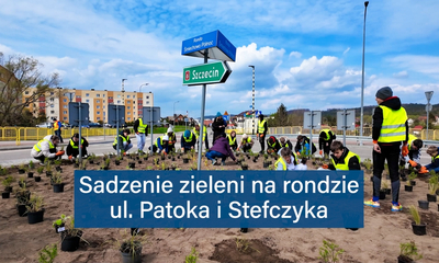 Sadzenie zieleni na rondzie ul. Patoka i Stefczyka