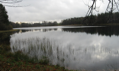 Lesoki - wycieczka - 9.11.2012