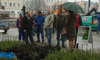 Udana akcja dziennikarzy, leśników i urzędników - 21.04.2012