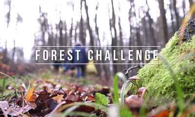 Forest Challenge 2020