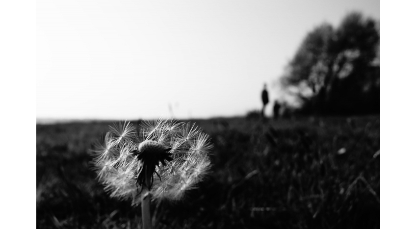 KAMIENICA SZTUKI | Wernisaż prac Mariusza Wirskiego